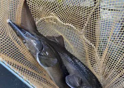 Angelsee Bendestorfer Wassermühle Inhaber: Dirk Schmanns, Bendestorfer Chaussee 17 in Bendestorf