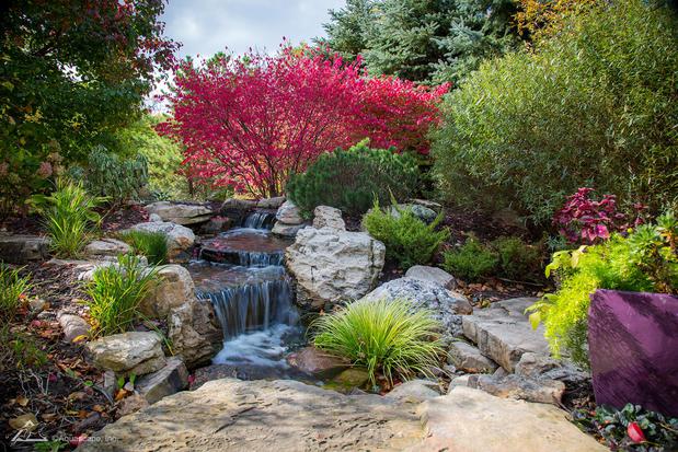 Images Aquascape Construction | Pond Shop & Inspiration Center