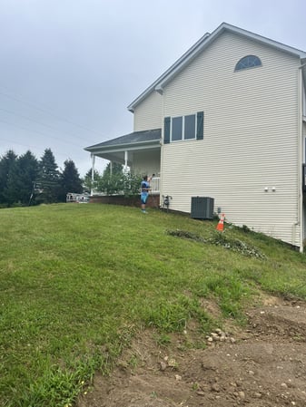 Images The Roof Cleaner