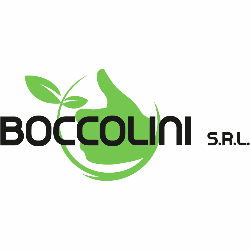 Boccolini Srl Logo