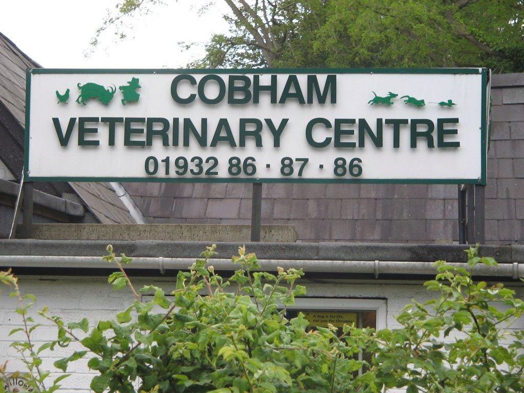 Cobham Veterinary Centre Cobham 01932 868786