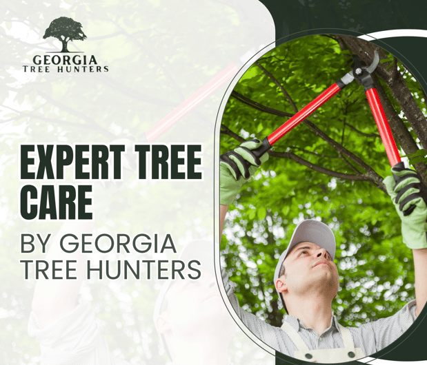 Images Georgia Tree Hunters