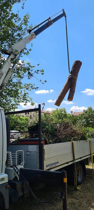 Images Bosi Tonino "Il Giardiniere"