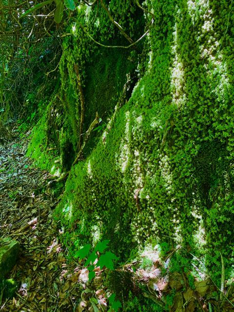 Images Brent Maudlin - State Farm Insurance Agent