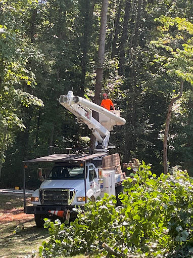 Arning Tree Service Image
