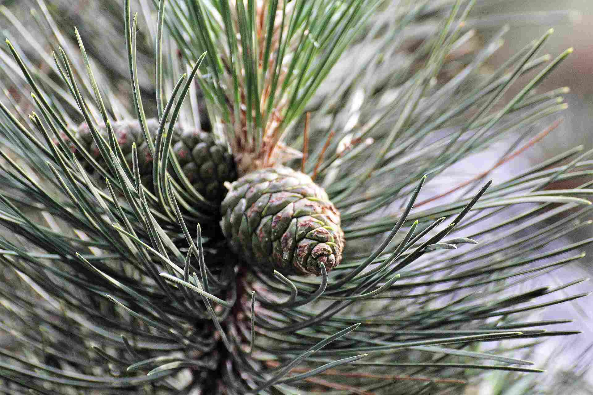 Bild 3 Buch den Fink in Erfurt