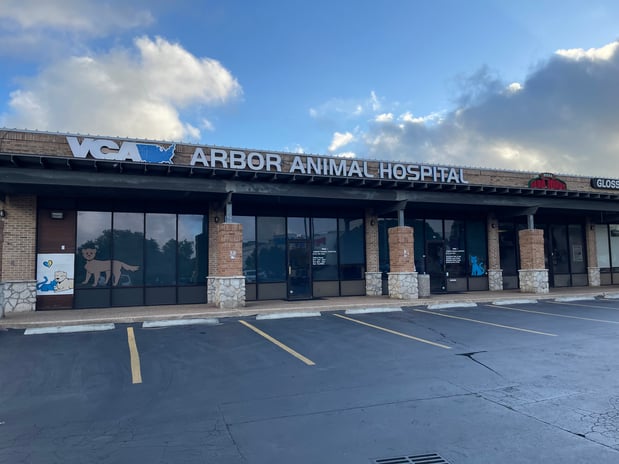 Images VCA Arbor Animal Hospital