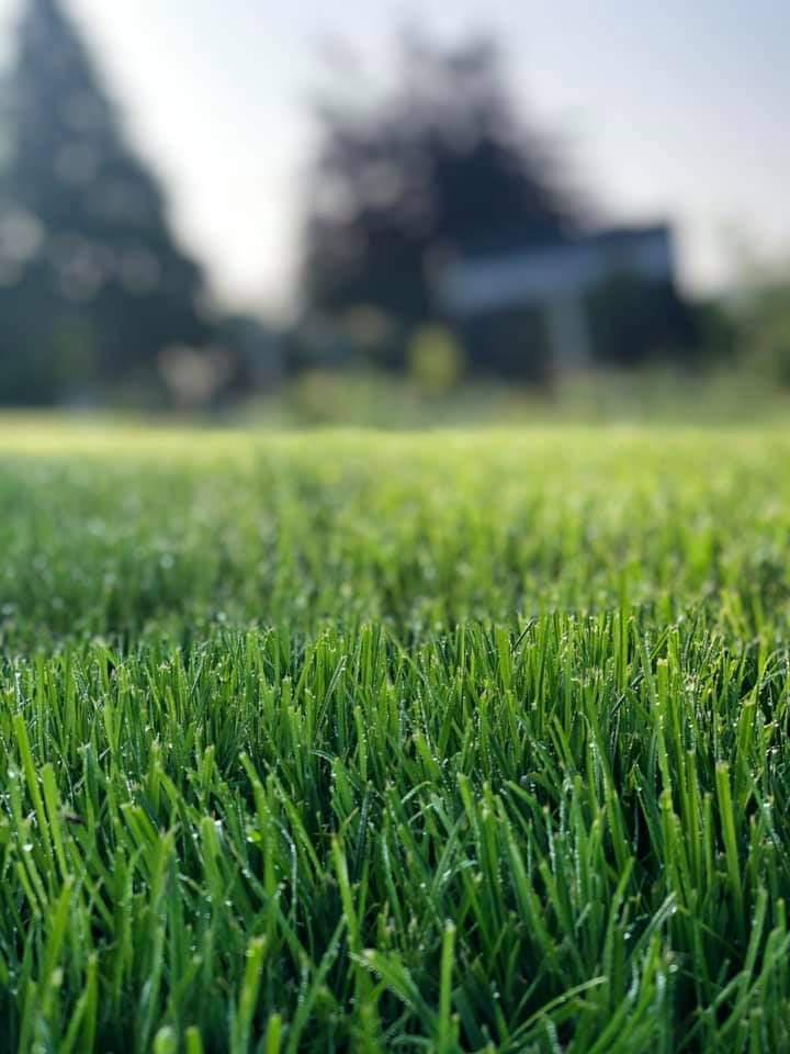 Holzapfel - Haus und Garten, Schmidgern 15b in Gilching