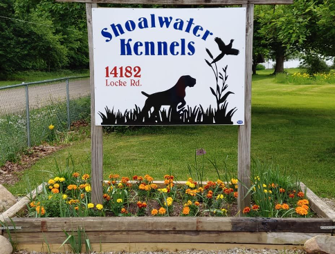 Images Bed & Board At Shoalwater Kennel