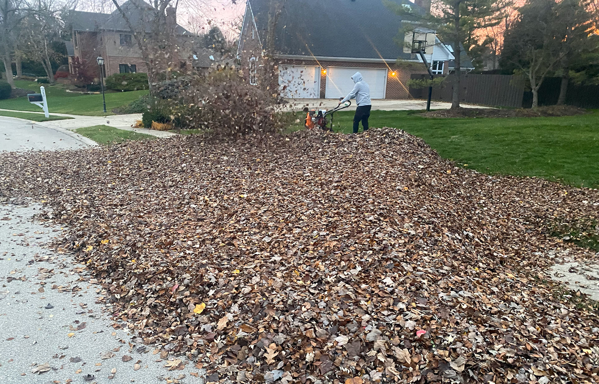 Rooted Lawn & Landscape Image