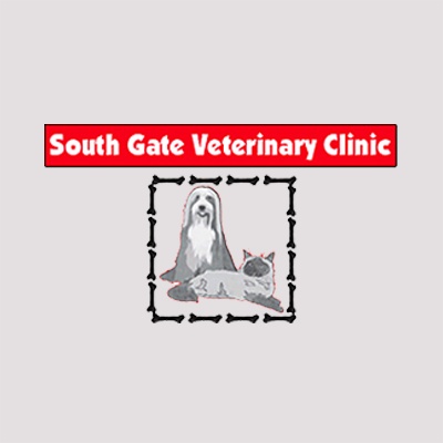 South Gate Veterinary Clinic - Fort Myers, FL 33919 - (239)481-8696 | ShowMeLocal.com