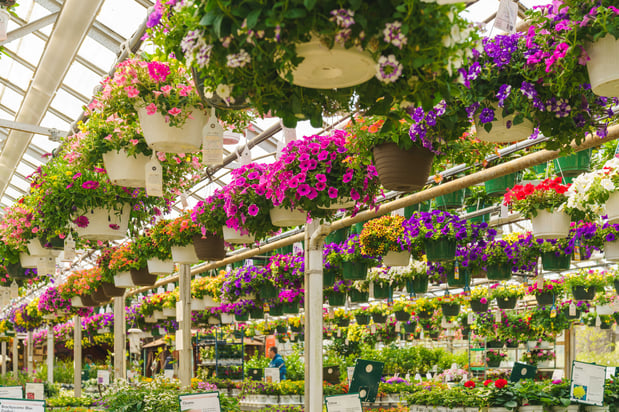 Images Mahoney's Garden Center
