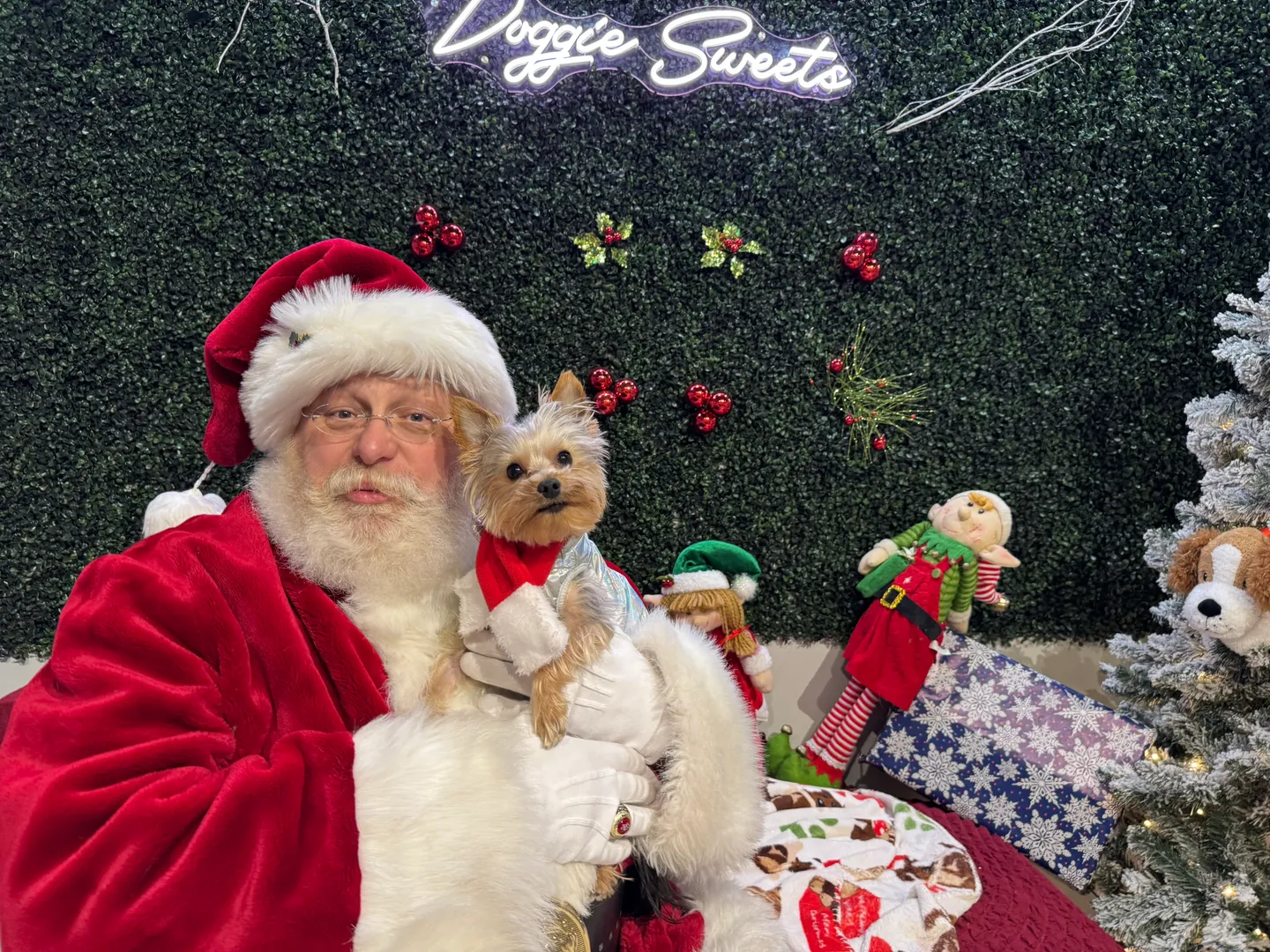 Image of Local Pet Event CAFE EVENT: Santa Pictures Nearby