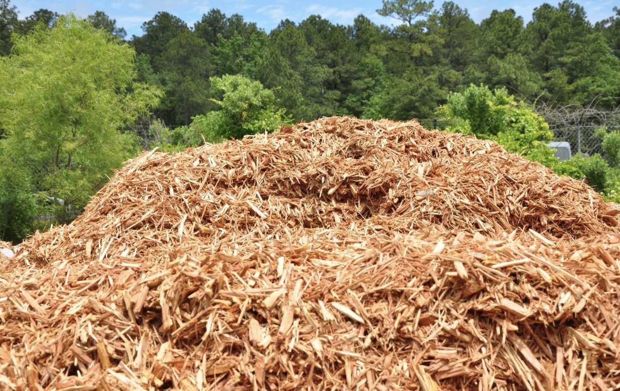 Cedar Mulch Bulk (per cu. yd.)
Long-lasting coverage that reduces the need for frequent reapplication.
Helps keep the soil underneath moist and stable, reducing the need for frequent watering.
Made from natural cedar, offering an eco-conscious mulch solution. Ideal for various landscaping needs, including flower beds and walkways
The natural cedar scent enhances the garden's ambiance
Enriches the soil by adding organic material to the soil, as it breaks down
The Cedar Mulch is a fibrous, extra-fine shredded cedar mulch. It is eco-friendly and acts as a dense and healthy ground cover. It is ideal for high wind areas, retains soil moisture, prevents weed growth, and enhances soil fertility. It is designed to keep the soil cool.
