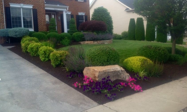 Images Elvira Landscaping