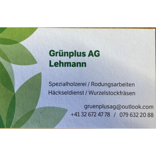 Grünplus AG Lehmann Logo