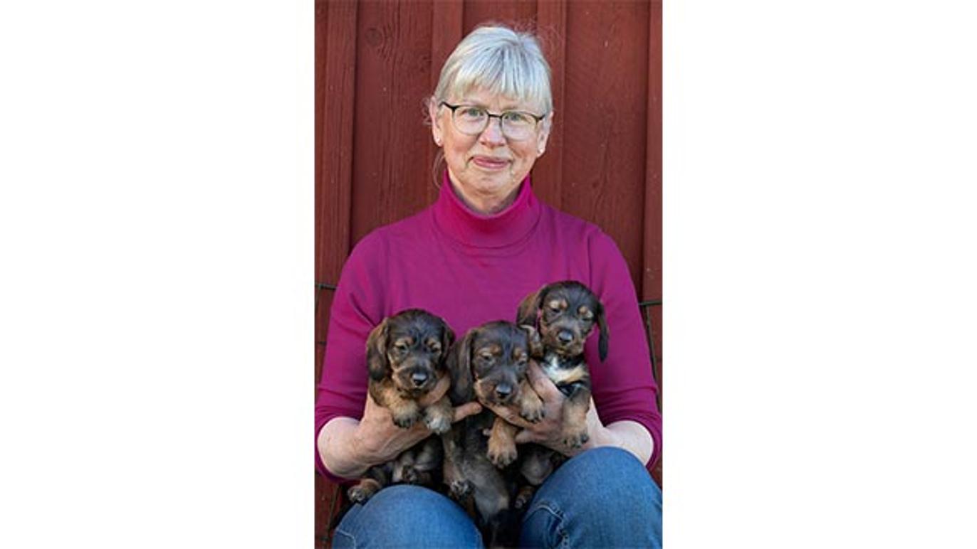 Images Hvarsta Hund- och Kattklinik