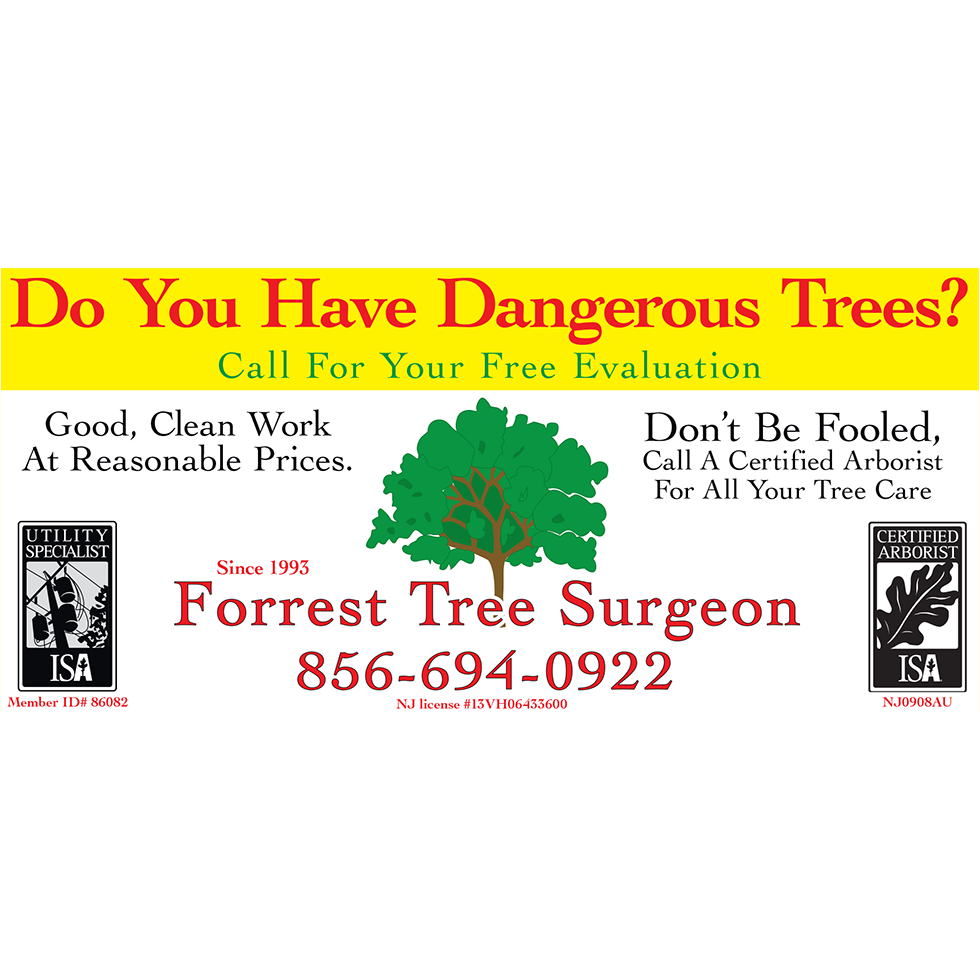 Forrest Tree Surgeon