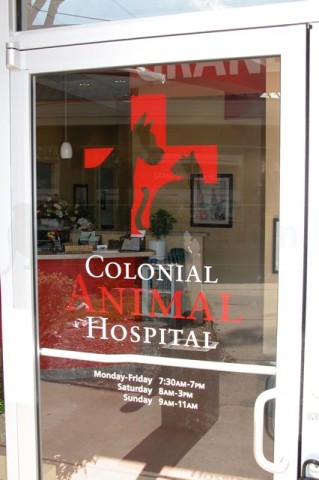 colonial animal hospital in springfield va 22150 colonial animal hospital in springfield va 22150