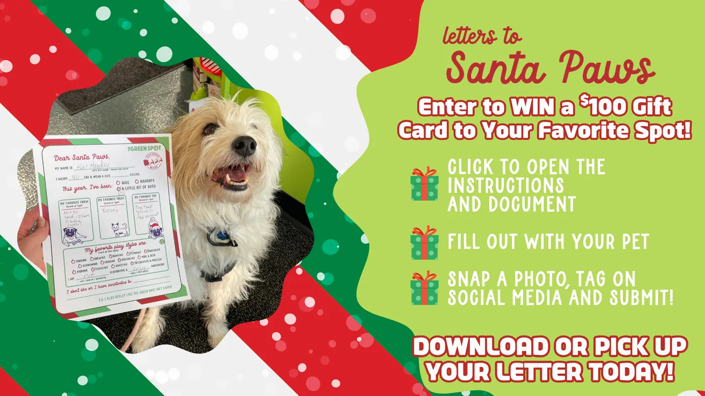 Image of Local Pet Event Letters to Santa Paws! Nearby