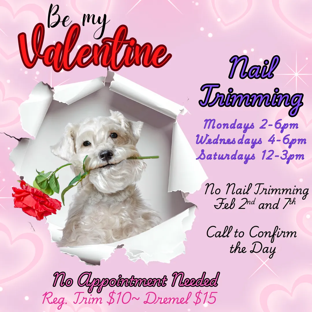 Image of Local Pet Event February Nail Trimming Nearby