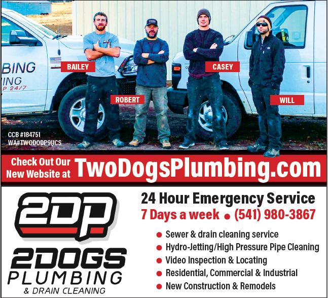 Image 2 | Two Dogs Plumbing & Drain Cleaning Inc.
