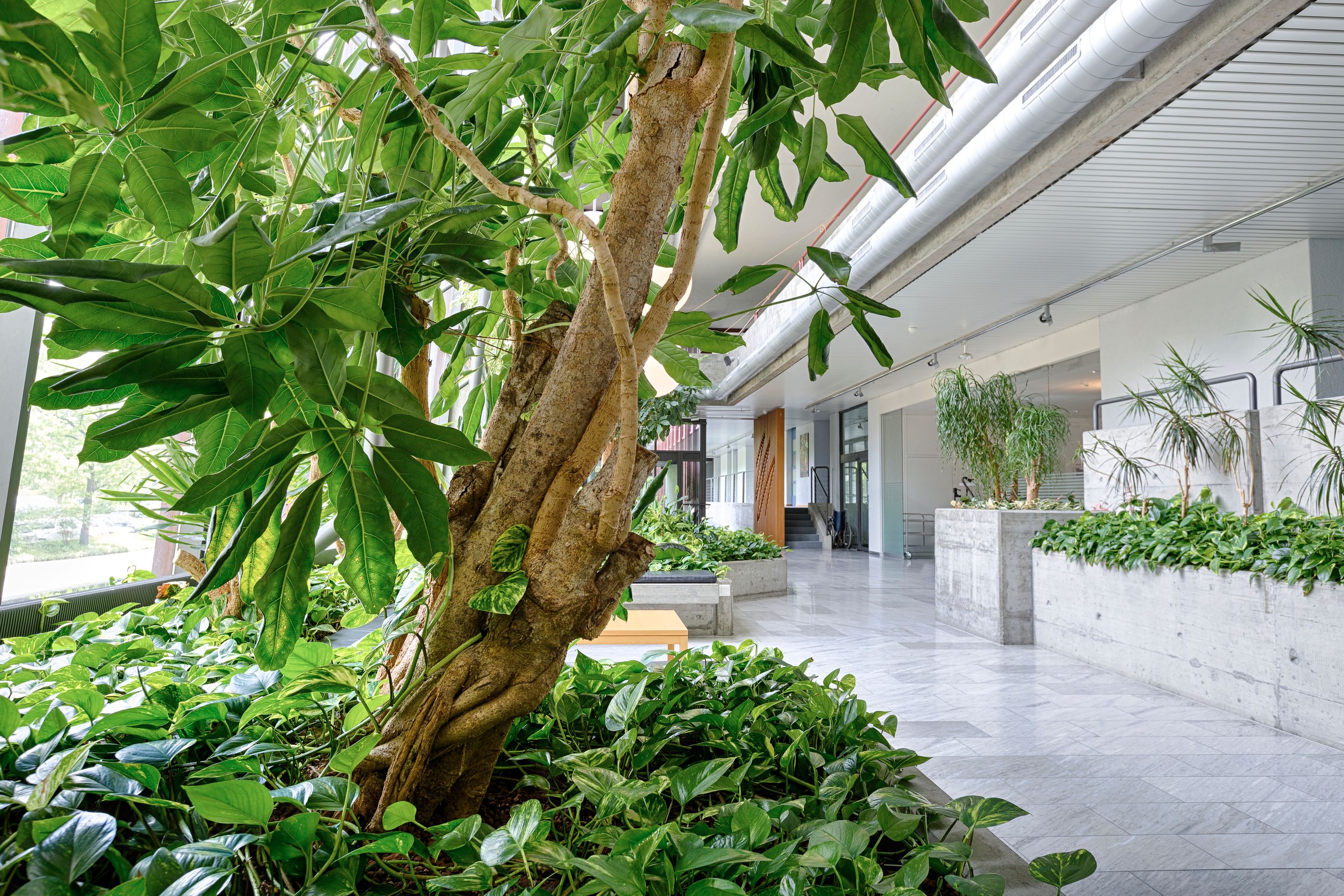 Bilder Luwasa Greenstyling AG