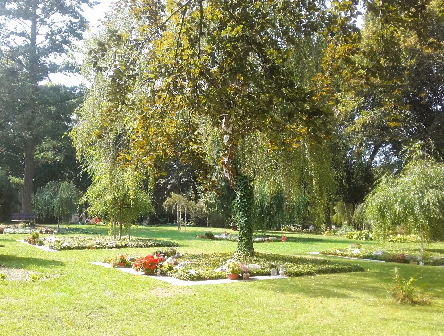 Friedhofsverwaltung, Reißiger Str. 57 in Plauen