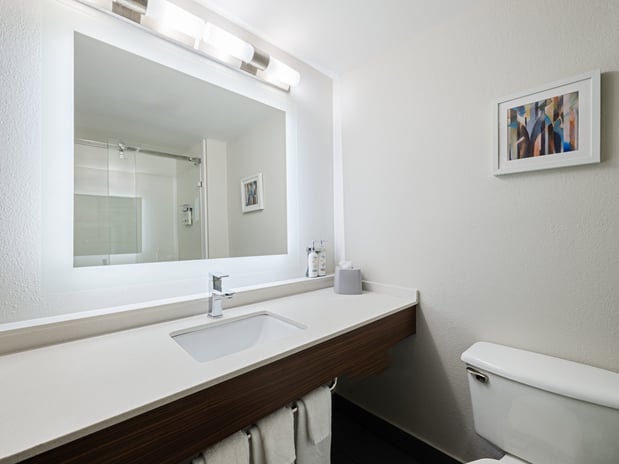 Images Holiday Inn Express & Suites Augusta West - Fort Eisenhower by IHG