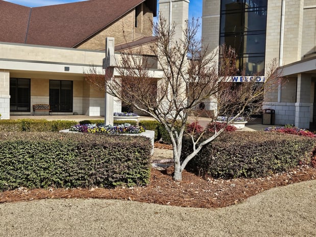 Images Top Notch Lawns