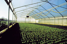 SOL Kohlensäure GmbH & Co. KG, Brohltalstrasse 26 in Burgbrohl