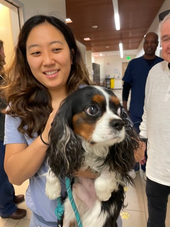 Images VCA West Los Angeles Animal Hospital