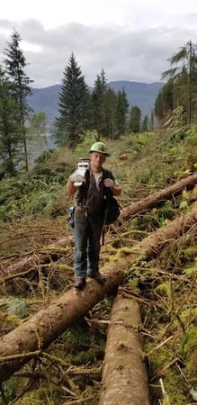 Images Mansfield Tree Services LLC