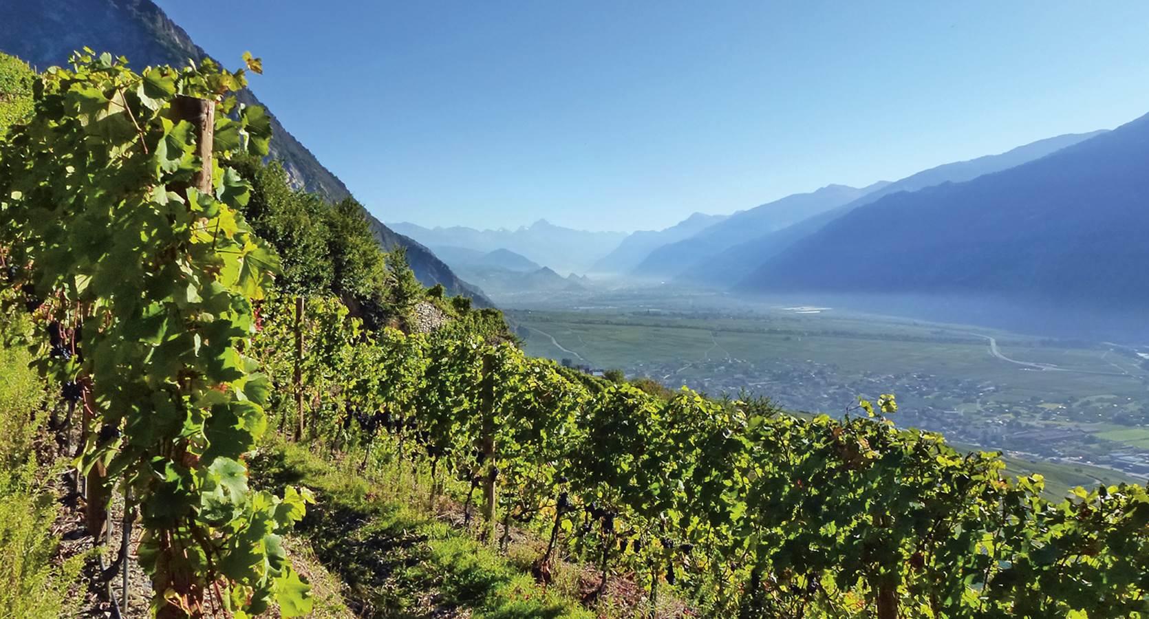 Weinservice GmbH, Kernserstrasse 3 in Sarnen