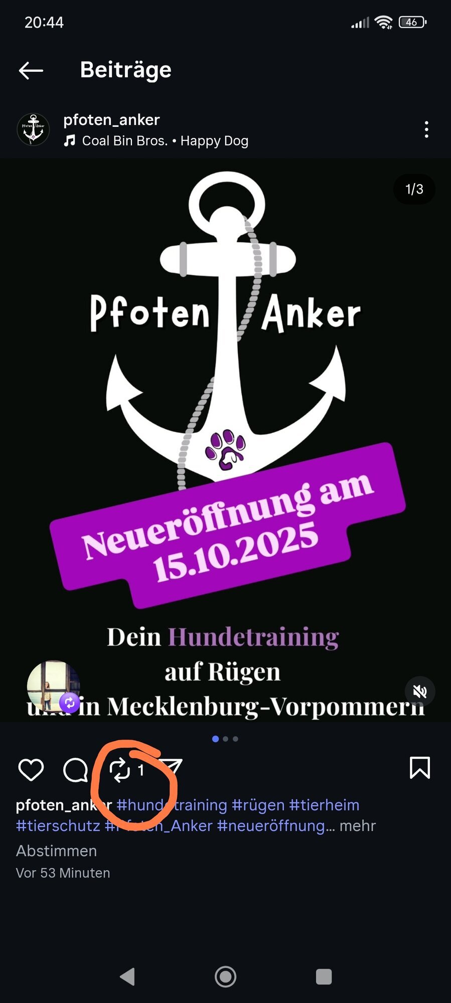 Pfoten Anker, Alt Pastitz 5 in Putbus