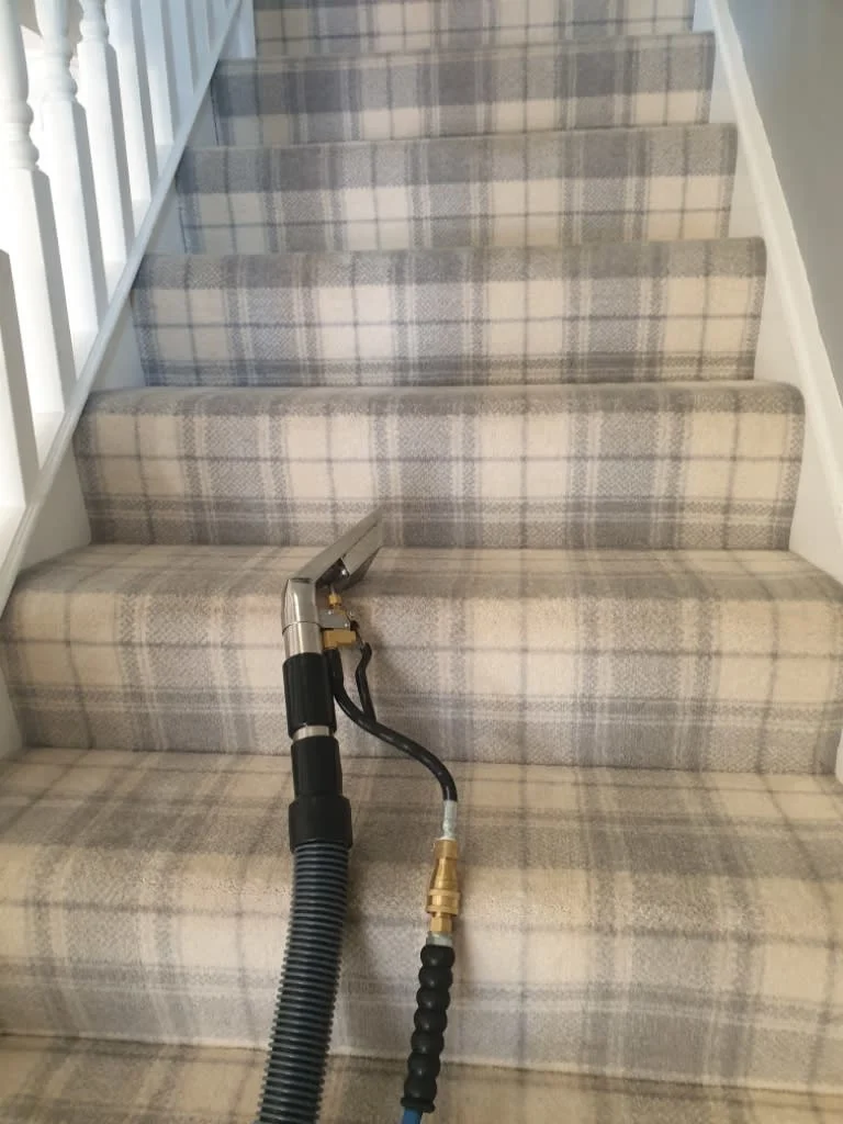 Images Johnshaven Carpet Cleaning Services