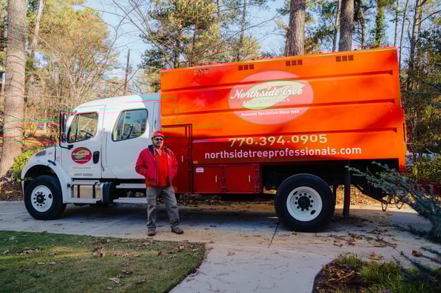 Images Northside Tree Professionals