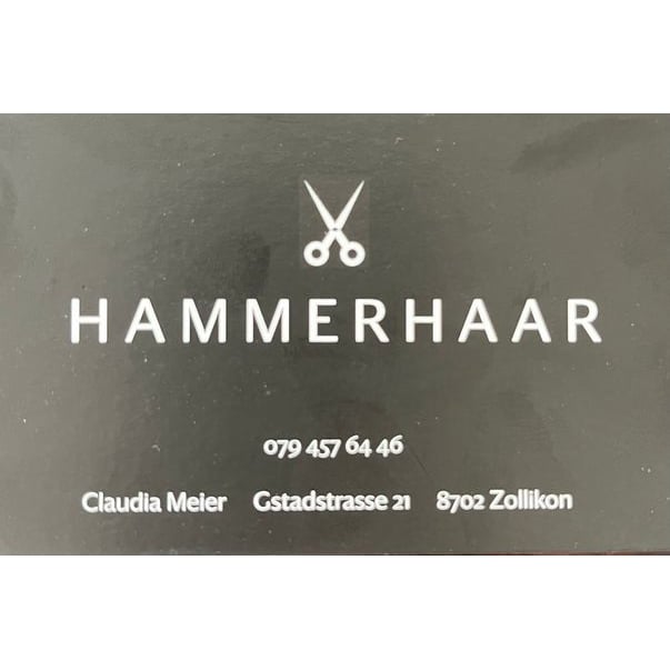 Hammer Haar Logo
