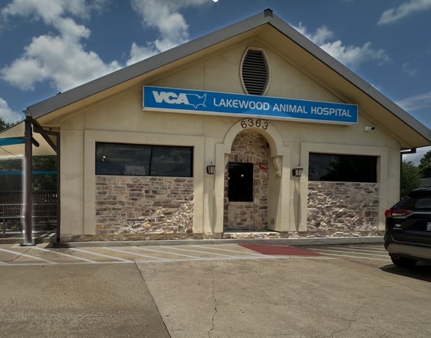 Images VCA Lakewood Animal Hospital