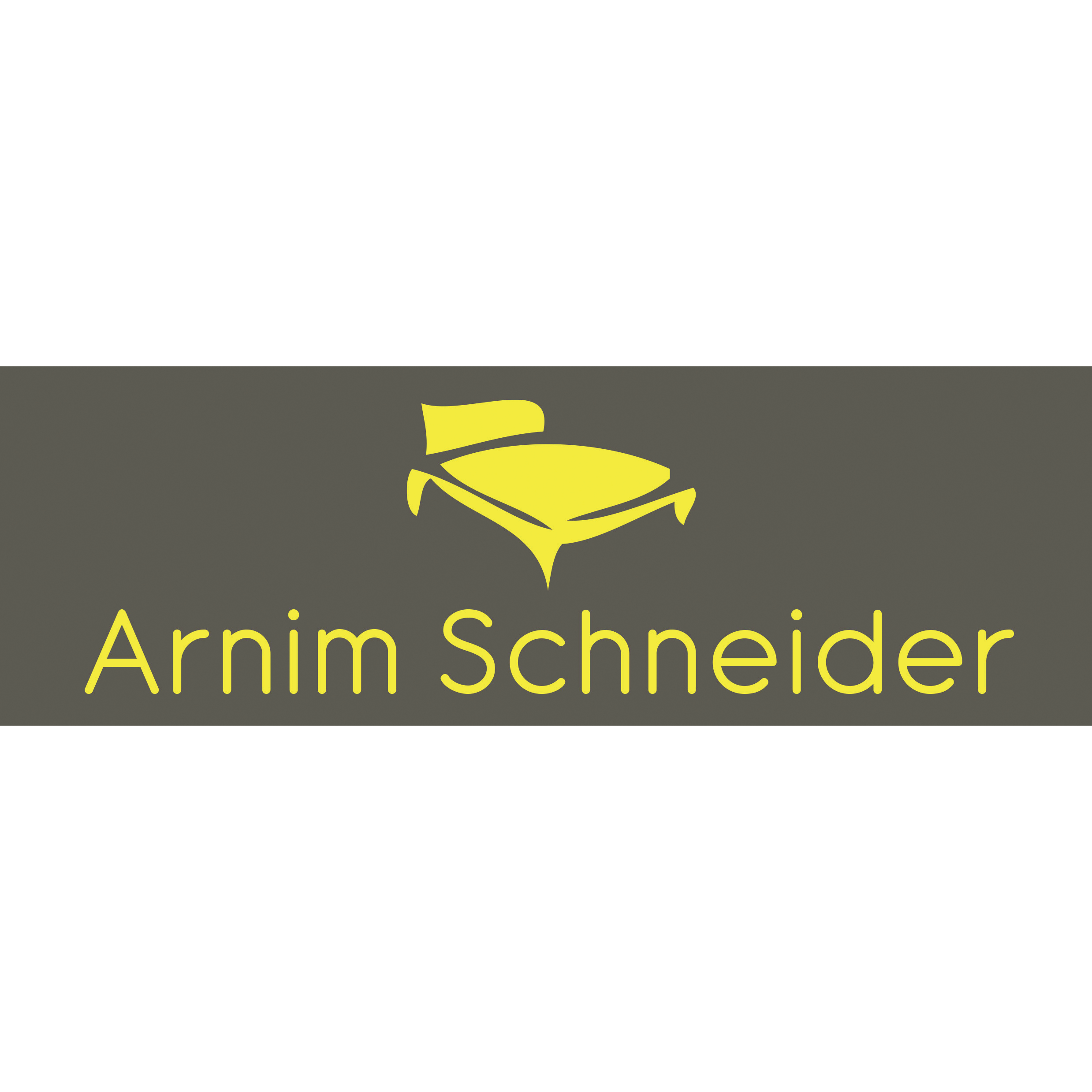 Arnim Schneider GmbH in Berlin - Logo
