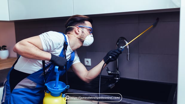 Images Pest Control Detroit