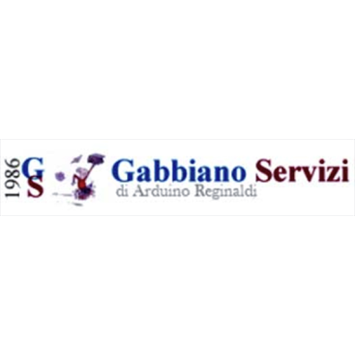 Gabbiano Servizi Logo
