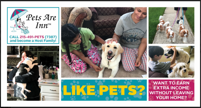 Are you passionate about pets, especially dogs? Looking to earn some supplemental income? Growing Doylestown based pet sitting is looking for pet lovers to join our dynamic team of independent contractors. Recruiting dog lovers 21 years of age or older to play, love, exercise, and ENJOY the companionship of a pet in the comfort of YOUR home while their owners are traveling.  Give us a call to learn more: 215-491-7387 https://www.petsareinn.com/pet-sitting/become-a-pet-sitter/