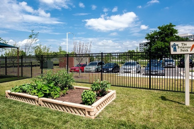 Images Primrose School of Chantilly