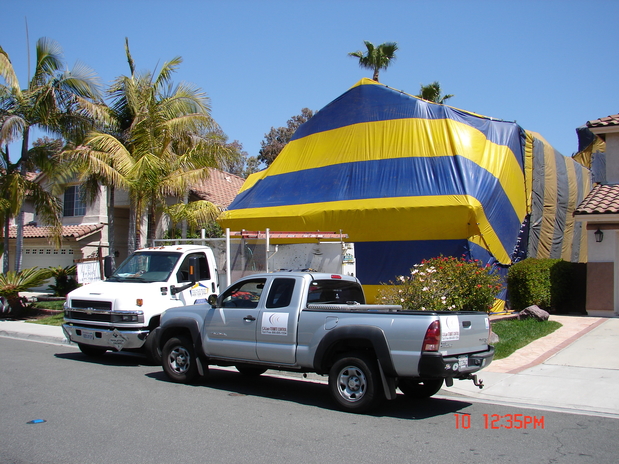 Images C. A. Luce Termite Control