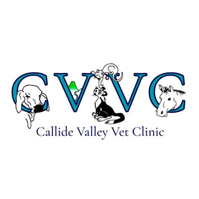 Callide Valley Veterinary Clinic Logo