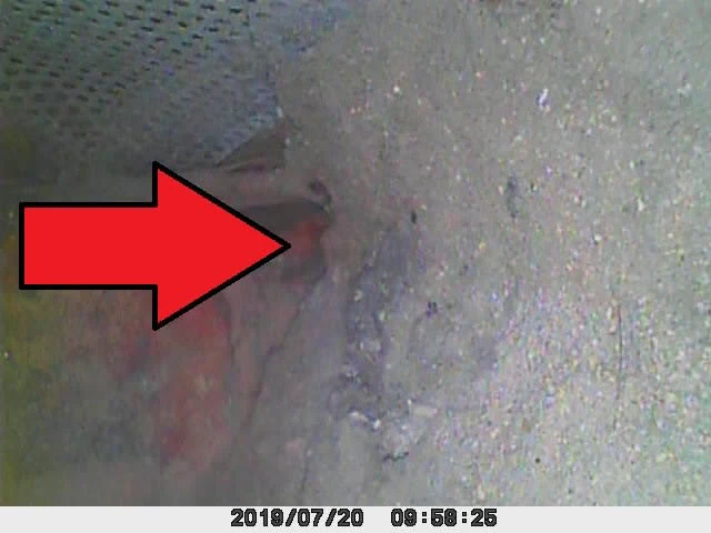 Images Damp Detectives
