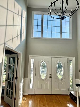 Images Pro Painters Plus