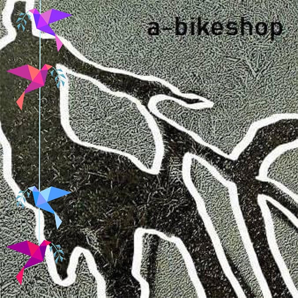 a-bikeshop e.U. in Erl