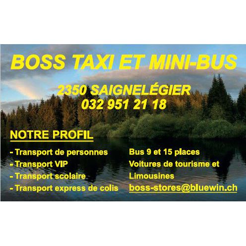 Boss taxi et mini-bus Sàrl Logo